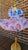 Miss Rachel Birthday Outfit Girl, Custom Tutu Set with Name & Age, 1st Birthday Outfit, Toddler Girl Birthday Shirt Tutu, Matching Hairclip.