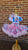 Miss Rachel Birthday Outfit Girl, Custom Tutu Set with Name & Age, 1st Birthday Outfit, Toddler Girl Birthday Shirt Tutu, Matching Hairclip.